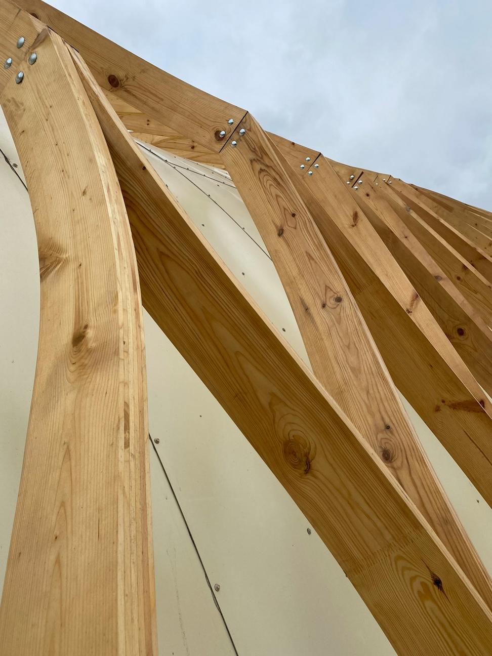 Mass timber construction